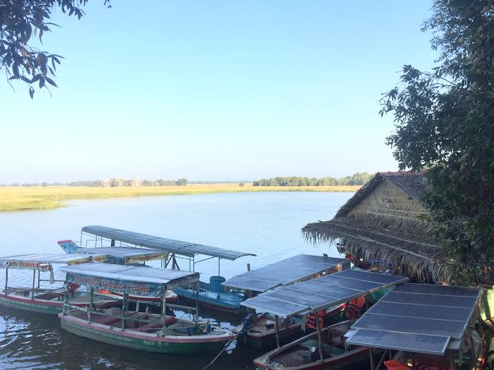 Rồi[-]Sếu[-]sẽ[-]bay[-]về